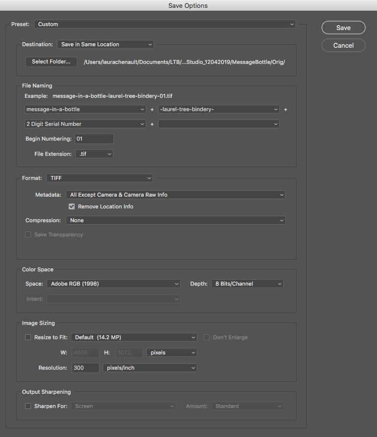 Step three of how to process photos. Screen shot of photoshop showing naming conventions and automatic numbering.