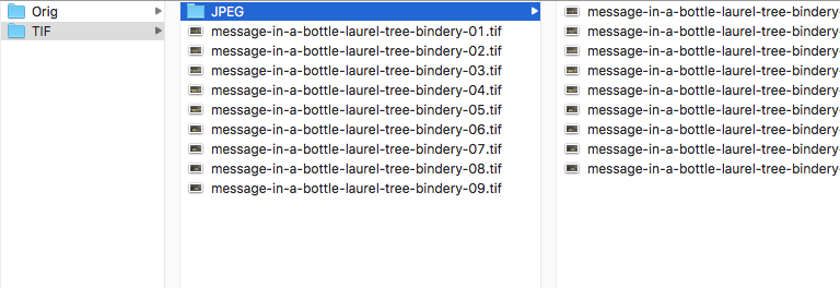 Step 8 of how to process photos. Screen shot of folder organization showing location of bulk processed JPEGs.