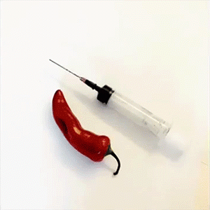 Chili Pepper by Ian Barnard