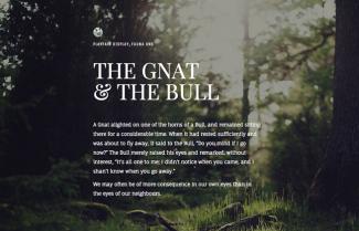 Google Font Pairings – The Gnat and the Bull
